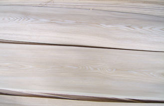 Natuurlijk Rusland Wit die Ash Wood Veneer Plywood Crown voor Meubilair wordt gesneden