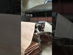 Natuurlijk hout PLB roterend fineerblad