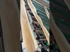 Elm veneer kroon gesneden