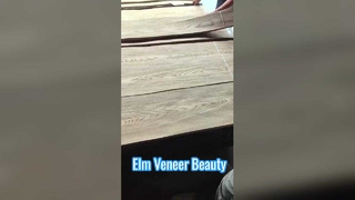 Elm Crown gesneden fineer