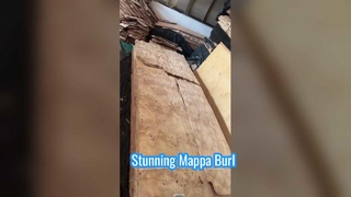 Mappa burl Veneer Sheet