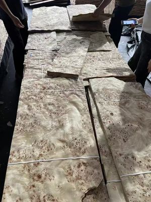 Hoogwaardige Mappa Burl Veneer Plaat Voor Meubel Decoratie