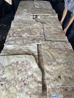 Hoogwaardige Mappa Burl Veneer Plaat Voor Meubel Decoratie