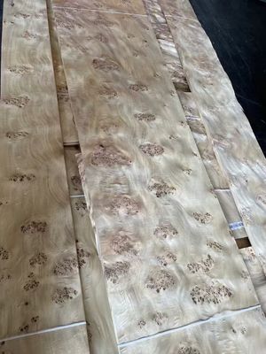 Hoogwaardige Mappa Burl Veneer Plaat Voor Meubel Decoratie