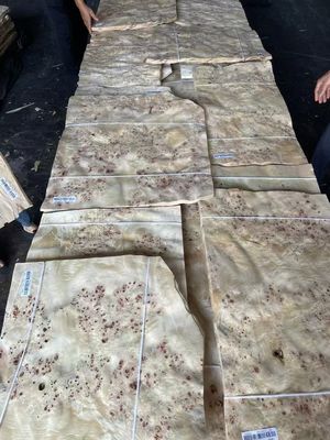 Hoogwaardige Mappa Burl Veneer Plaat Voor Meubel Decoratie