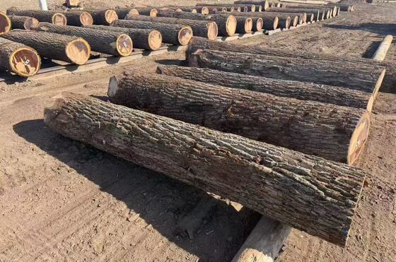 Eiken fineerplaten met kronenkorrelpatroon van 0,2-0,6 mm dik en tot 1220 mm breed voor meubilair en decoratie