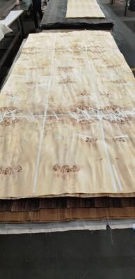 Natuurlijk Hout Mappa Burl Fineerplaat met Gesneden Snede en 12-15% Vocht voor Meubeldecoratie