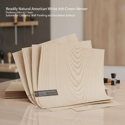 Readily Natural American White Ash Crown Veneer Thickness 0.6mm to 1.5mm Suitable for Cabinetry Wall Paneling and Decorative Surfaces